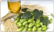 All Grain Brewing All Grain Brewing