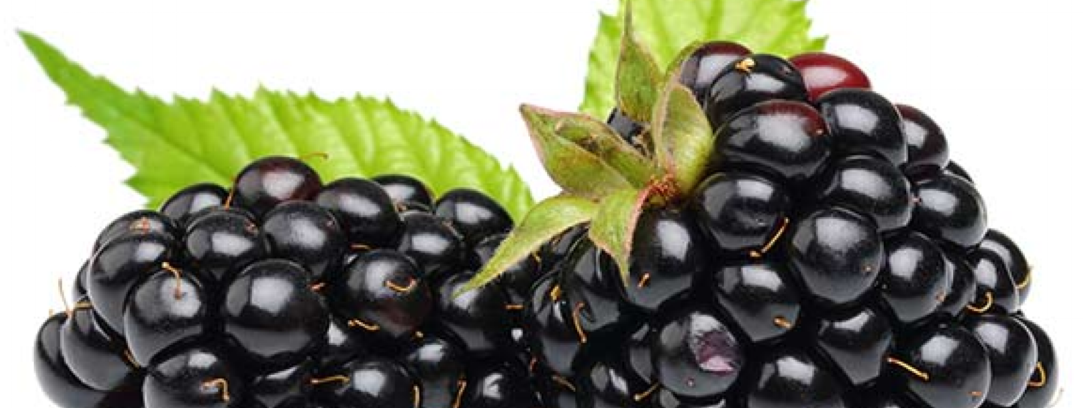 A beginner's guide to Making Wine from Fruit