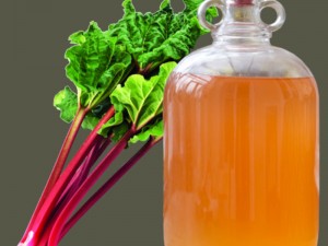 Rhubarb Wine Recipe