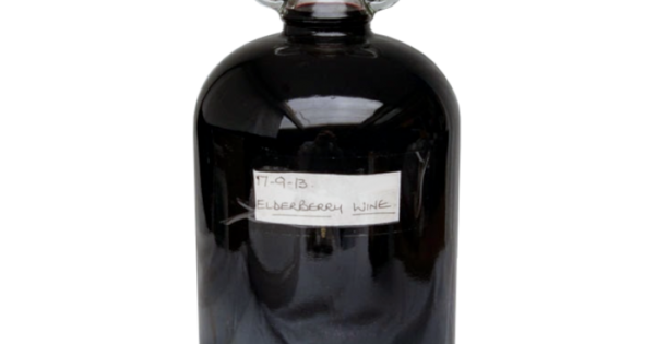 Elderberry Wine Recipe