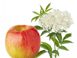 Apple & Elderflower Wine Recipe